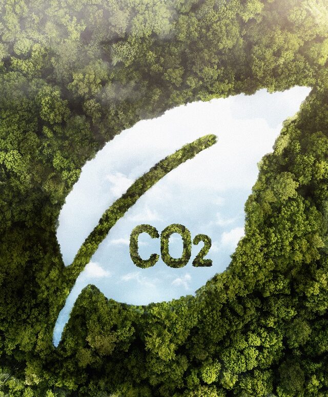 carbon credit generation